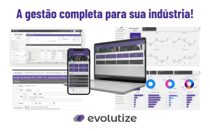 Evolutize-erp